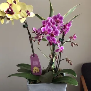 2023 The best foot massage place in Fresno , CA 93720