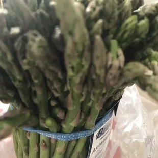 Asparagus Pens.