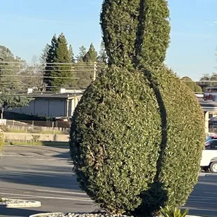 So cool looking pinball!