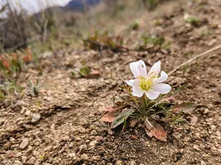 Michial M Emery Bear Canyon Trailhead