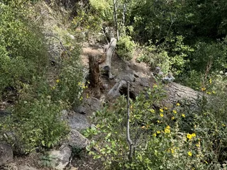 TWA Plane Crash Hiking Trail