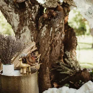 Amber Garrett Photography