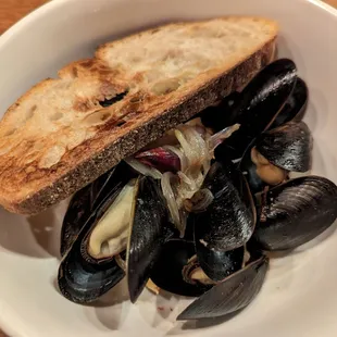 Maine mussels with bronze fennel and shallots