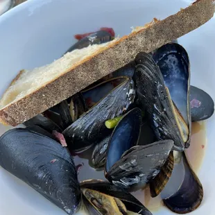 Mussels