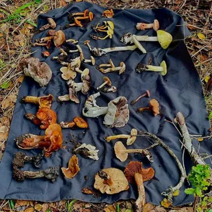 So many different kinds!!