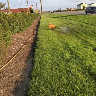 outside