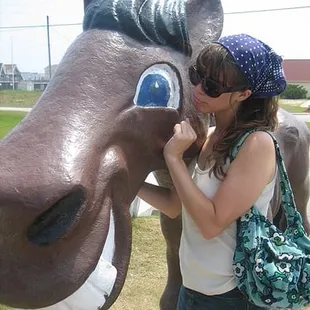 cuddling the old nag