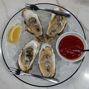 Oysters