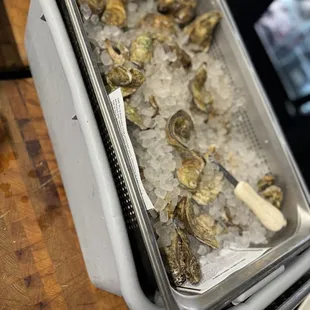 Oysters!