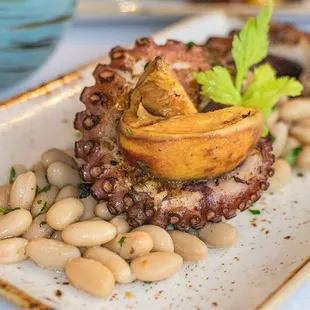 octopus and beans on a plate