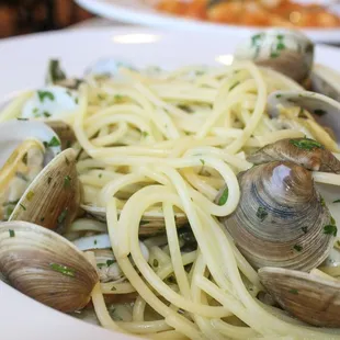 Spaghetti with clams white wine sauce
