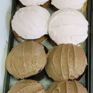 Lunch cakes.  You can get either yellow or chocolate  ones