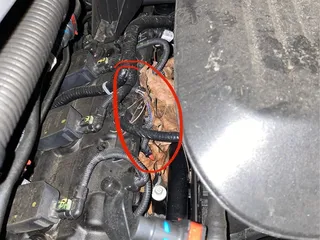 Future Chrysler Dodge Jeep Ram of Fairfield