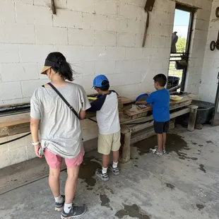 Private Visit to the Farm 6 people for 1 hour visit $85 includes feeding the animals and gem mining!