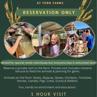 Private Visit to the Farm 6 people for 1 hour visit $85 includes feeding the animals and gem mining!