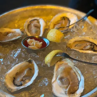 Raw oysters