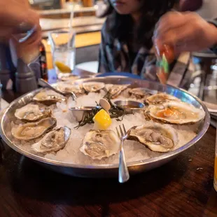 oysters on the half shell