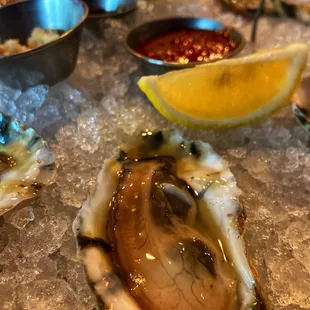 Wicked Pissah Raw Oysters