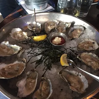 Steamahs - While They Last