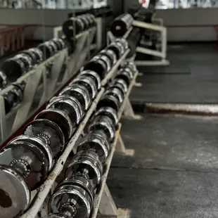 Plenty of free weights