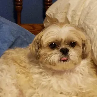 Sheila O.