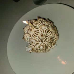 Birthday Baked Alaska!  The star of the show and every single person had a piece.  Dessert was scraped off the plate.  That good!