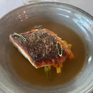 Red Snapper