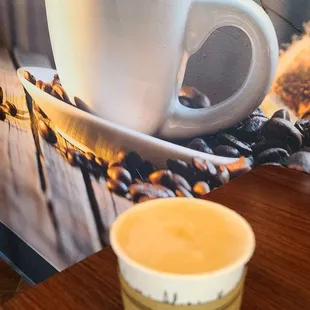 Forest Coffee