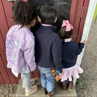 Counting the freshly laid hens' eggs