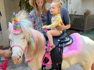 Alpine Boarding Stables