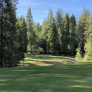 9th fairway