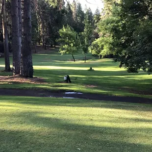 Looking towards holes 7and 8 (9 hole version)