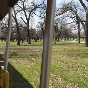 Forest Park