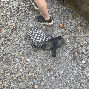 The staff threw my purse to the curb next to my car, though I forgot it while disputing the charges for inedible items