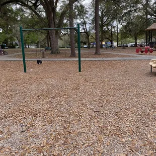 Only one baby swing and no others