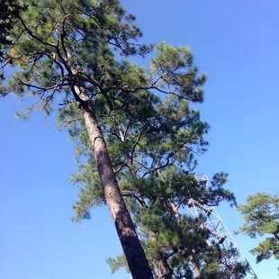 Beautiful weather in October