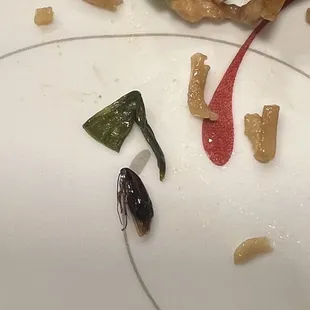 food, sashimi, sushi and sashimi, sushi