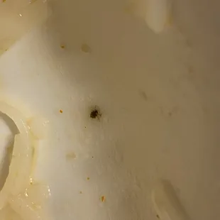 Bug in food Pho Combo