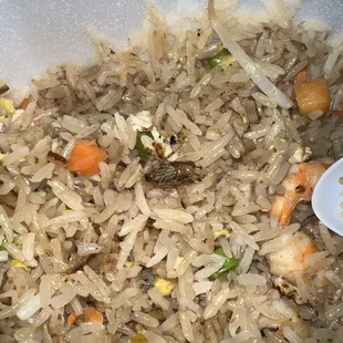 Shrimp fried rice hold the roach please
