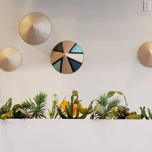 a variety of hats on a wall