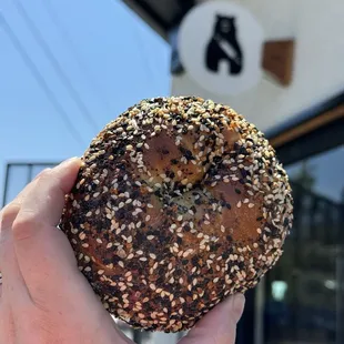Everything bagel