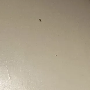 the name of a knife on the wall