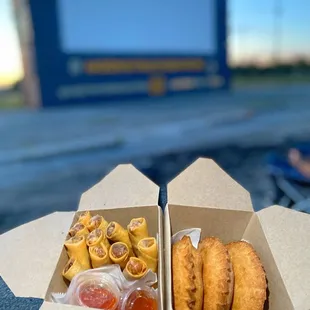 Eggrolls &amp; chicken empanadas