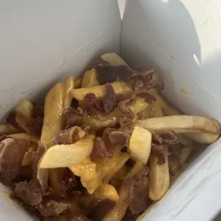 Cheesy Fries w/bacon...so yummy!