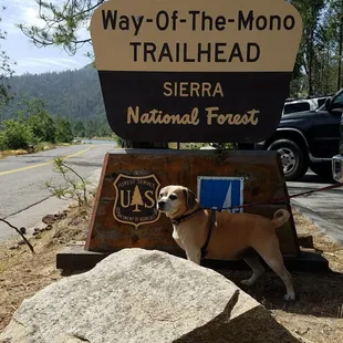Stella ready to take on the Way of the Mono trail.