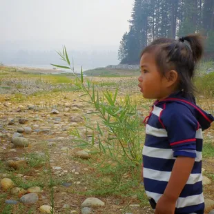 22 months (Aug 2014)