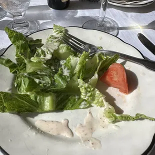 Fresh salad with homemade creamy Italian dressing