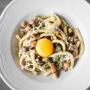 Bucatini Carbonara - Pancetta, Egg Yolk