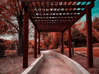 Kidd Springs Park
