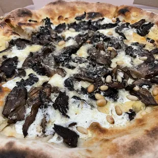 Funghi Misti Pizza